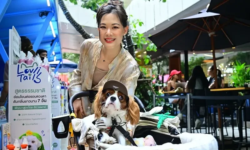 Gourmet Market Turns Sukhumvit into a Pet Paradise with PETSHOOD